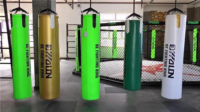 Shijiazhuang Wolon Sports Goods Co., Ltd.