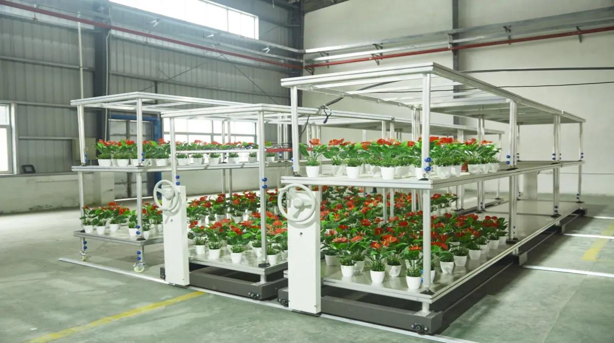 Supplier