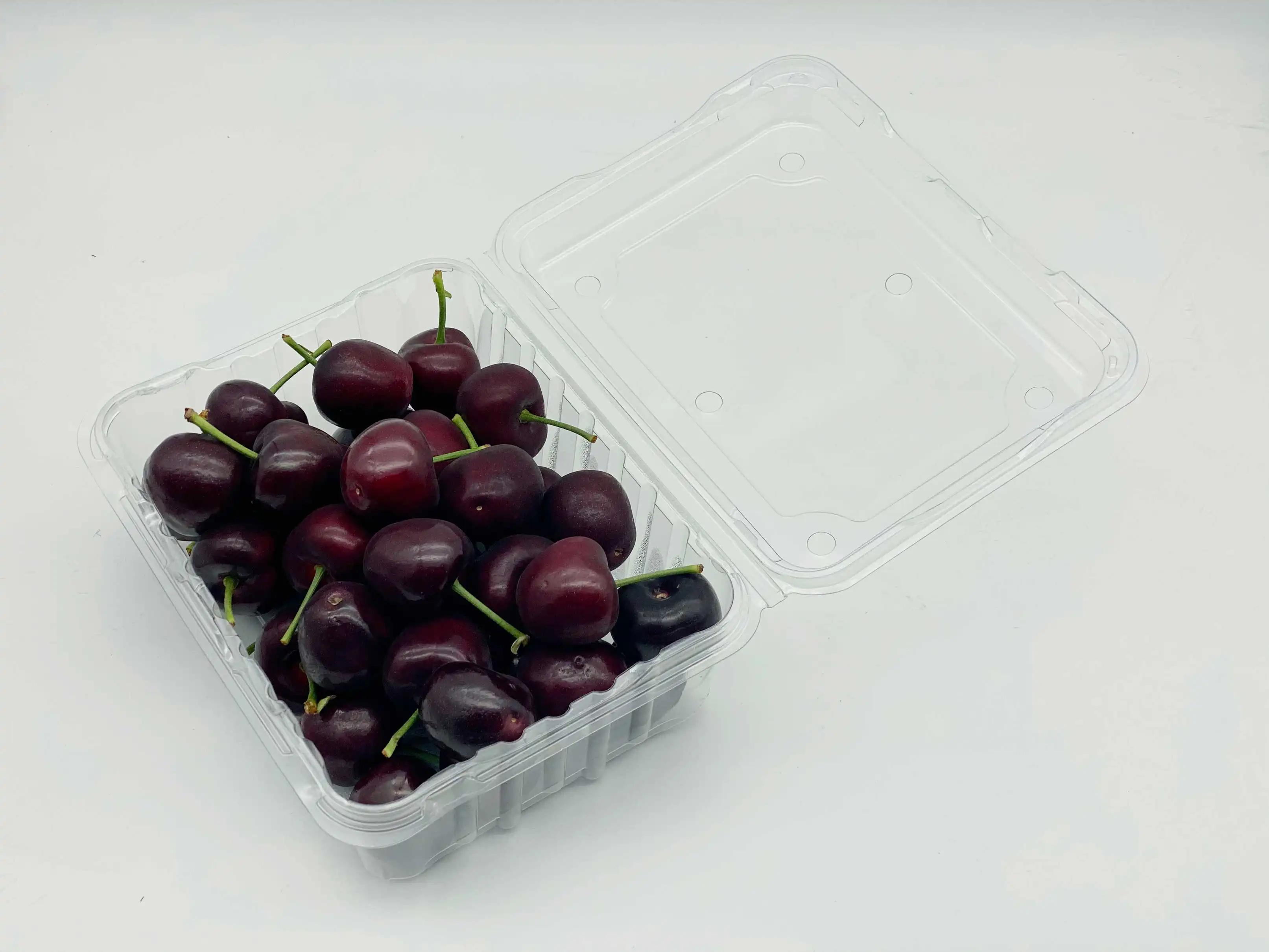Jinjiang Honghai Plastic Industry Co., Ltd.