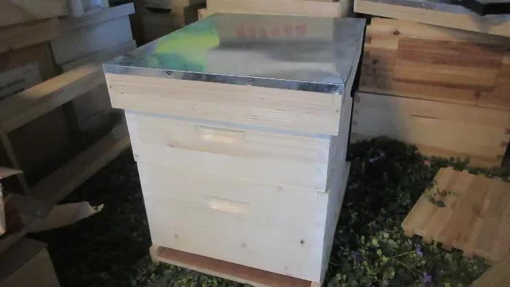 Henan Multi-Sweet Beekeeping Technology Co., Ltd.