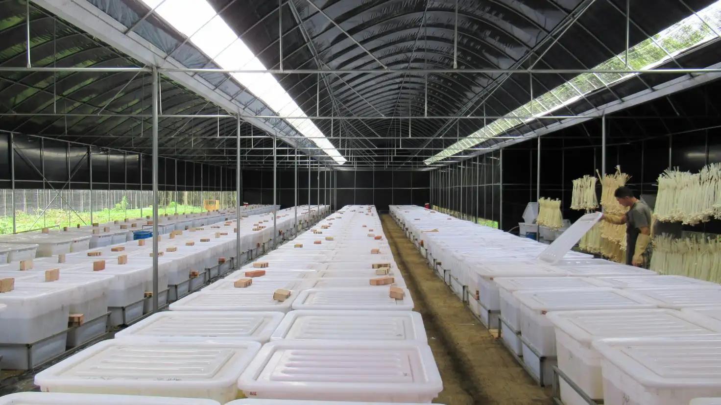 Yunnan Culinan Import And Export Co., Ltd.