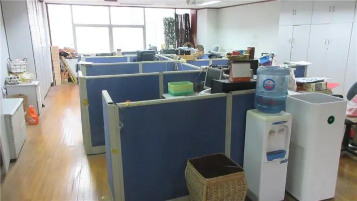 Shandong Haijin International Trading Co., Ltd.