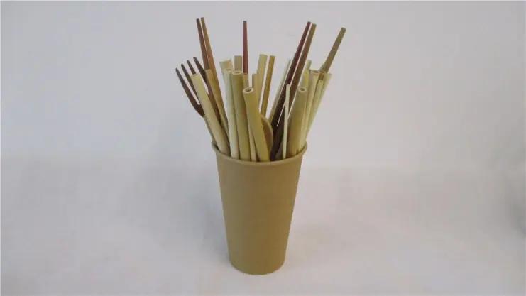 Supplier