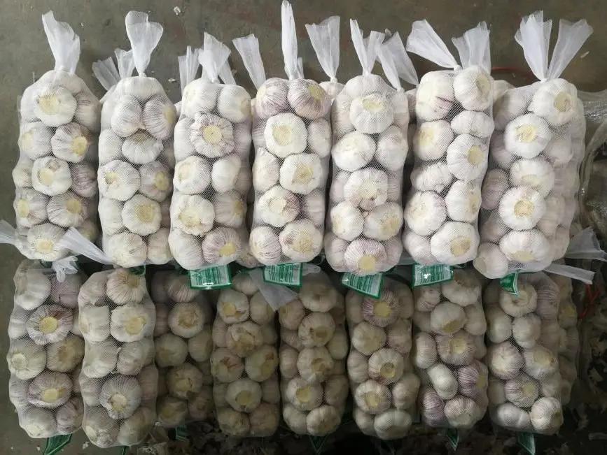 Shandong Sinofarm Food Co., Ltd.