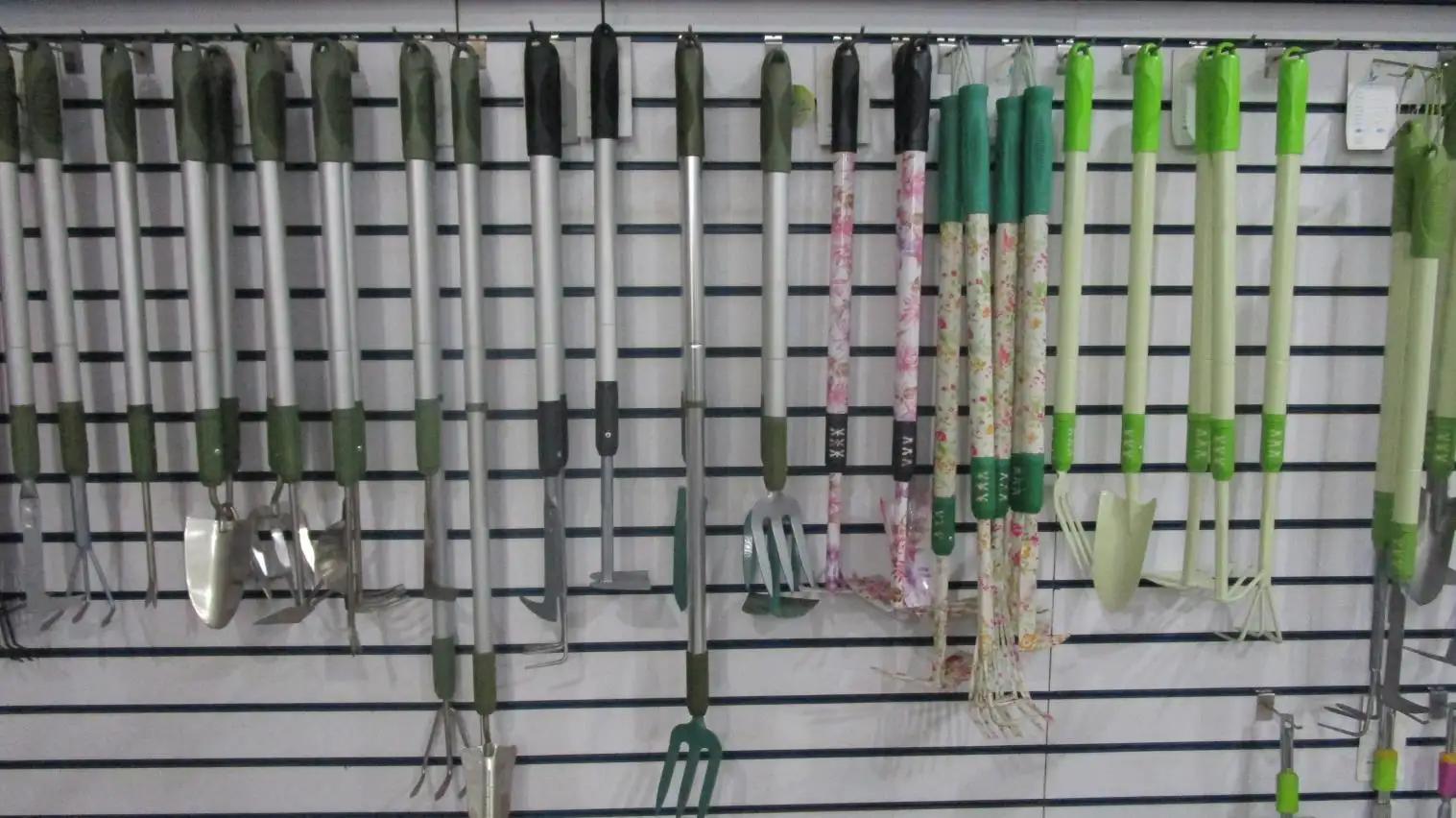Shanghai Wodeng Enterprises Ltd.