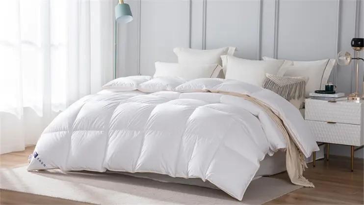 Hefei Bedtex Ltd.