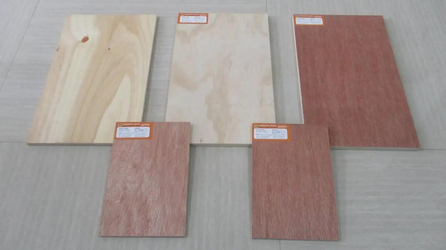 Linyi Dongstar Import & Export Co., Ltd.