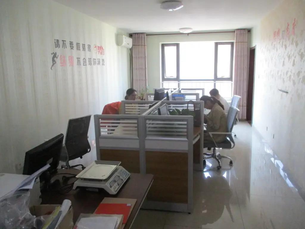 Hebei Chenzhiyuan Trading Company Limited