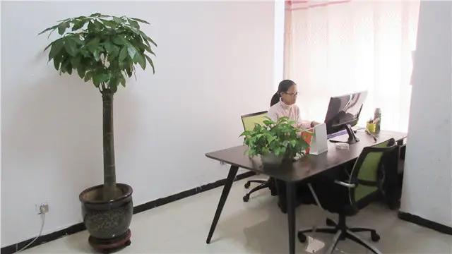 Hebei Xiaohu Imp&exp Trading Co., Ltd.