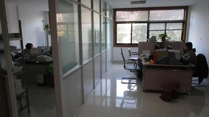 Hangzhou Jiaying Trade Co. Ltd
