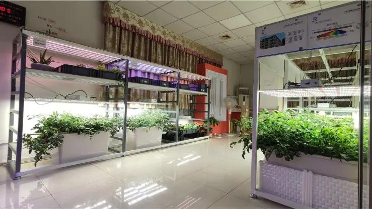 Guangdong Winlight Energy-Saving Photoelectric Co., Ltd.