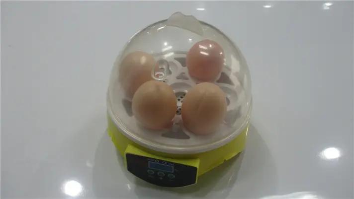 Nanchang Howard Technology Co., Ltd.(HHD)