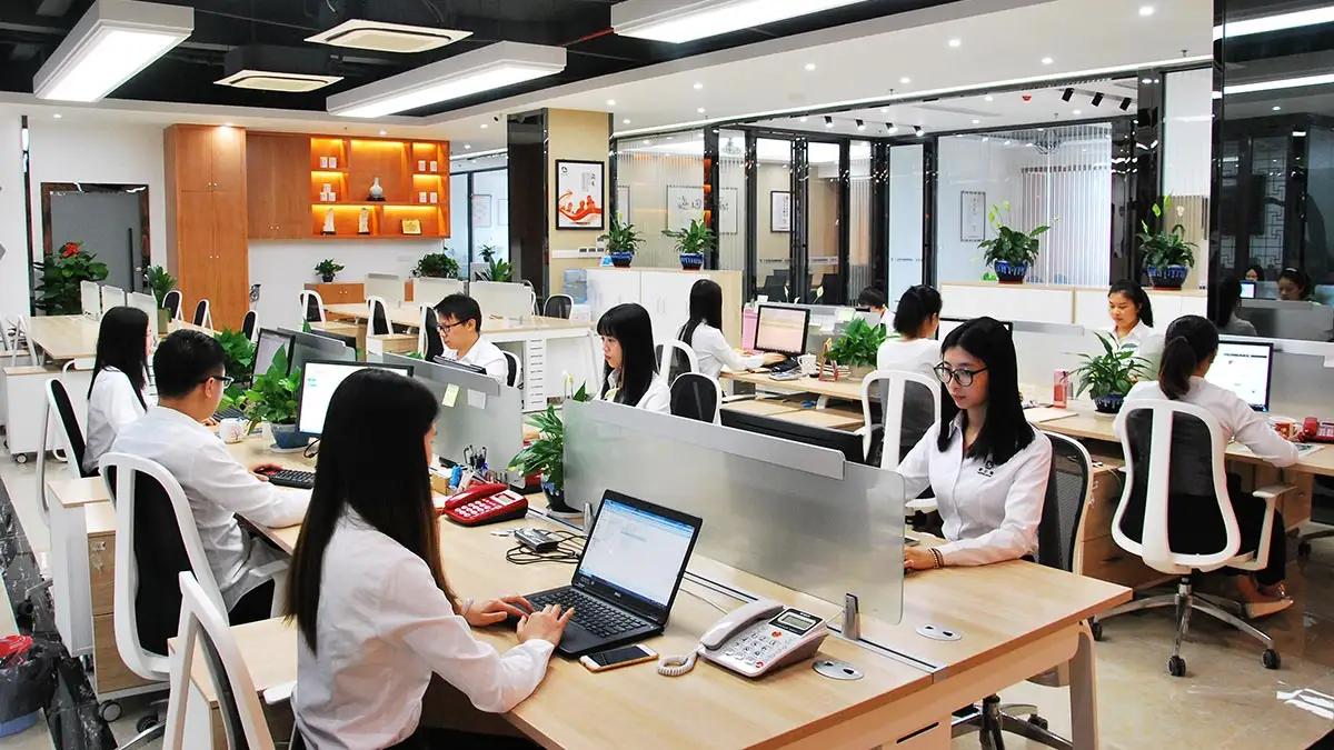 Guangdong Perfect Peak New Materials Co., Ltd.