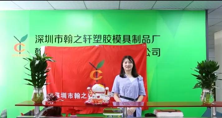 Shenzhen Hoersun Plastics & Molding Factory