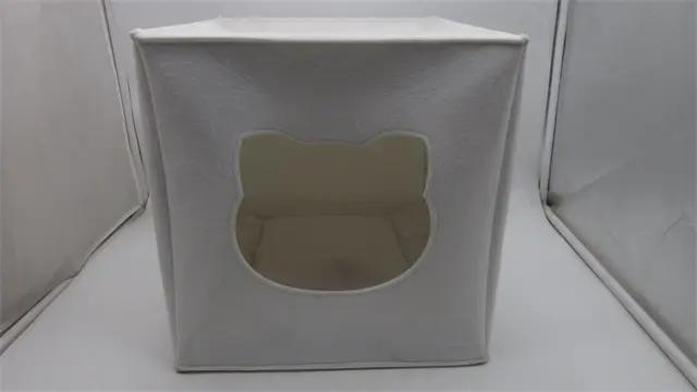 Hebei Dibei Import& Export Trading Co., Ltd.