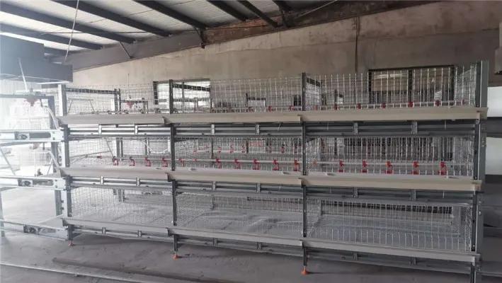 Hebei Ruikang Animal Husbandry Equipment Co., Ltd.