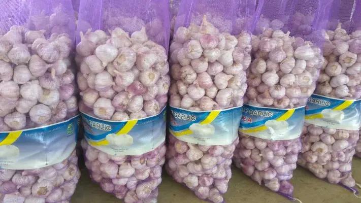 Jining Fenduni Foodstuff Co., Ltd.
