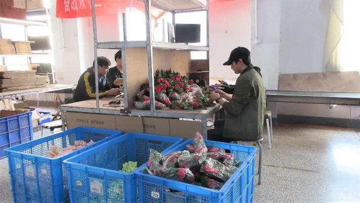 Yiwu Senyang Arts&Crafts Co., Ltd.