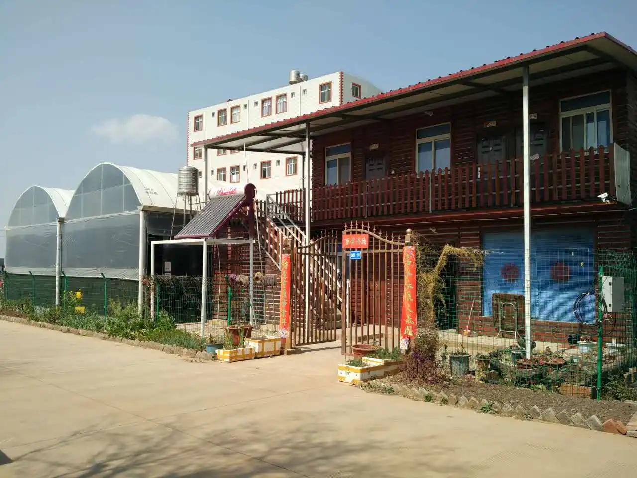 Huizhou Chasewin Decorative Flowers & Crafts Co., Ltd.