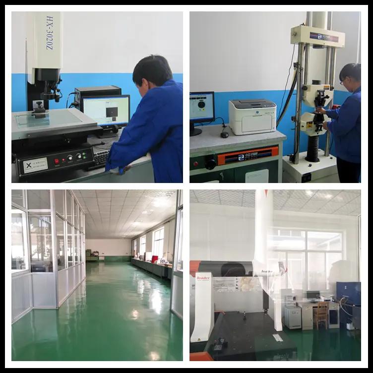 Yantai Maxdawn International Trading Co., Ltd.
