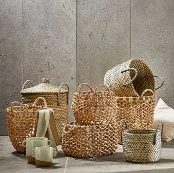 ECO FARMIE EXPORT CO., LTD