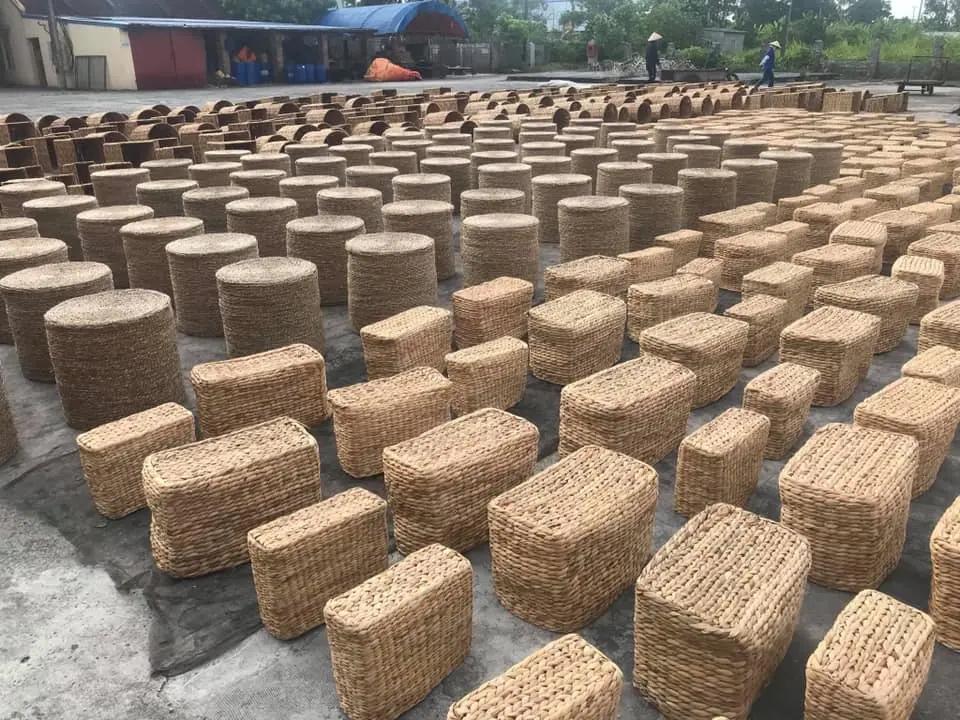 TIEN PHONG VIETNAM DEVELOPMENT COMPANY LIMITED