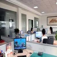 Guangzhou Funtoys Co., Ltd.