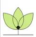 DSW CO., LTD