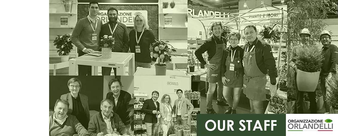 ORGANIZZAZIONE ORLANDELLI S.R.L.