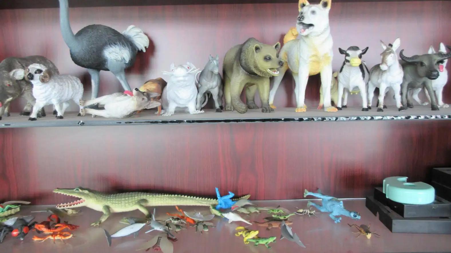 Jinhua Dragon Toy Co., Ltd.