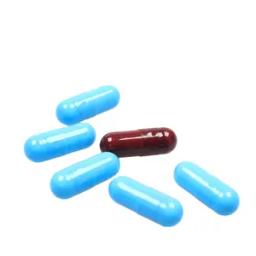 CREATINE Capsules/ Creatine Monohydrate capsule /Creatine Monohydrate supplement