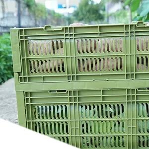 Collapsible Plastic Storage Mesh Type Reusable Folding Fruit and Vegetable Crates for Storage  Camping